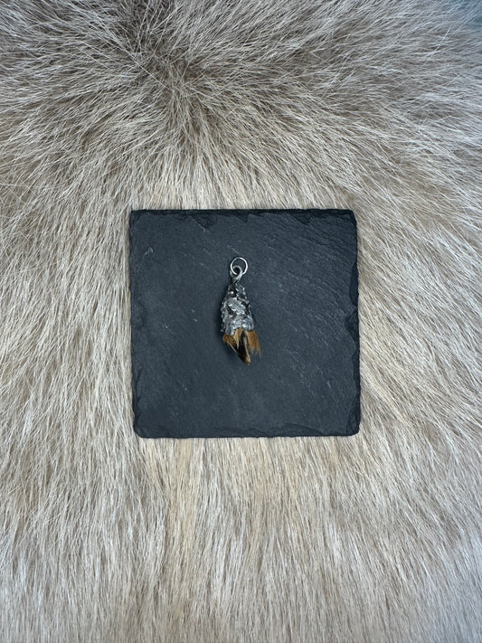 Anhänger Rehschale Nr. 5 klein