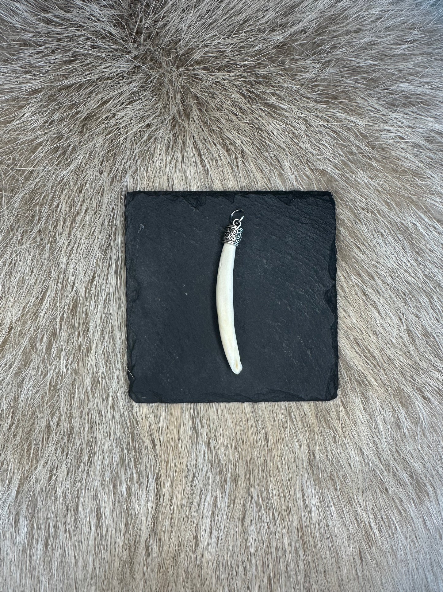 Anhänger Wildschwein Schneidezahn Nr. 4