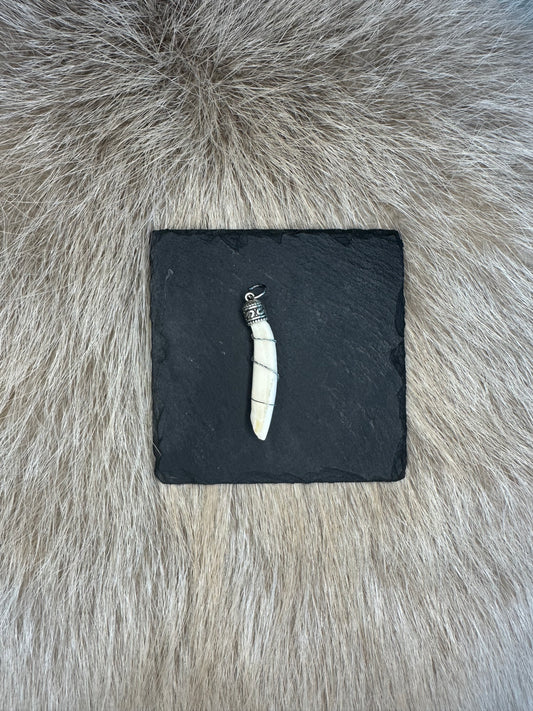 Anhänger Wildschwein Schneidezahn Nr. 6