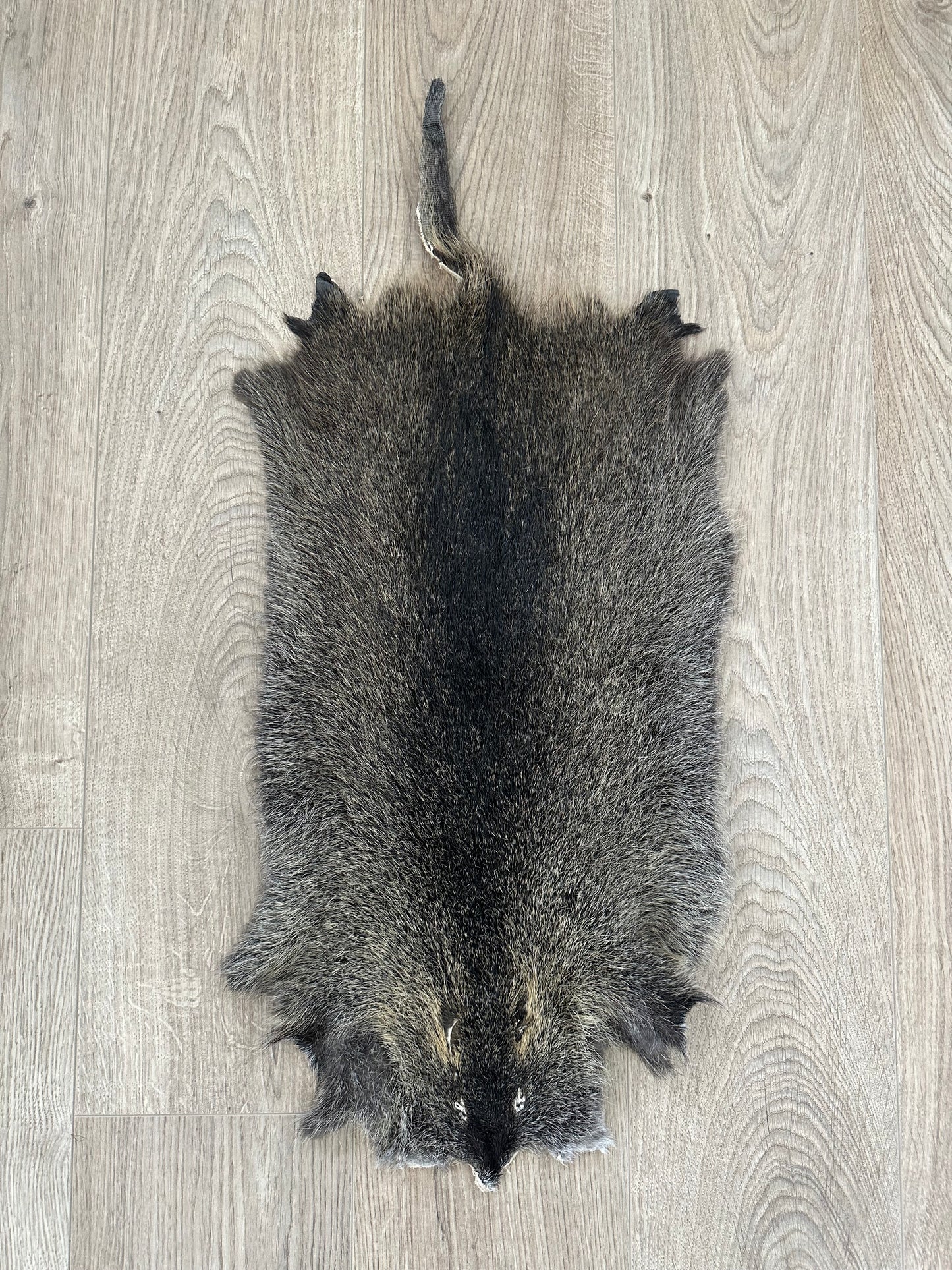 Nutria Fell gegerbt und gereinigt 4