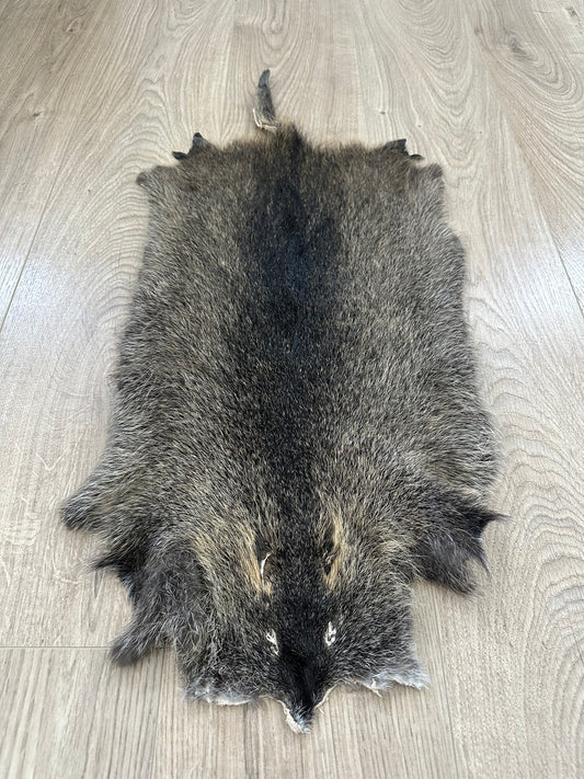 Nutria Fell gegerbt und gereinigt 4