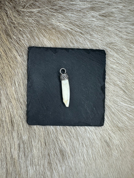 Anhänger Wildschwein Schneidezahn Nr. 1