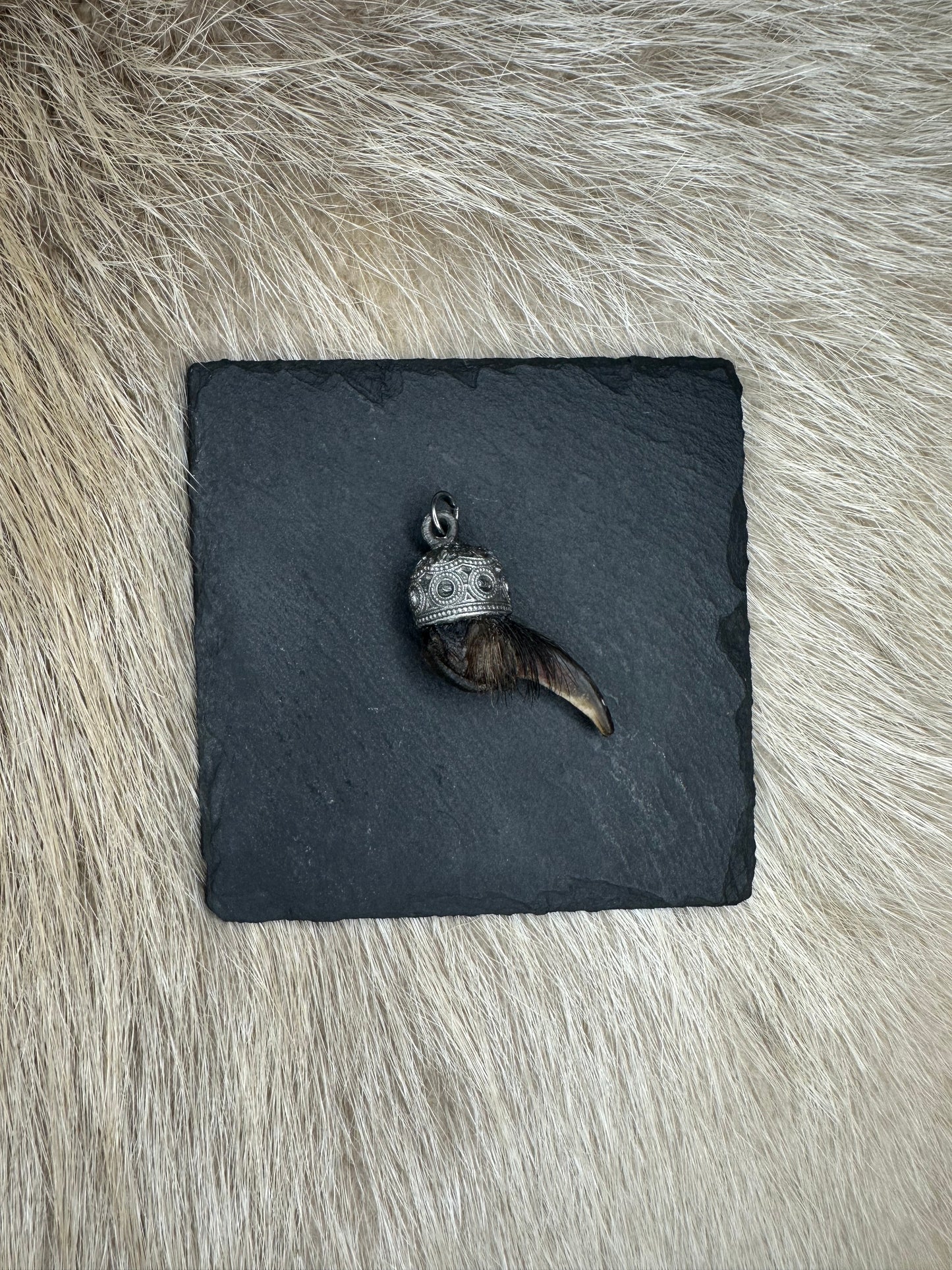 Anhänger Dachskralle Nr. 5