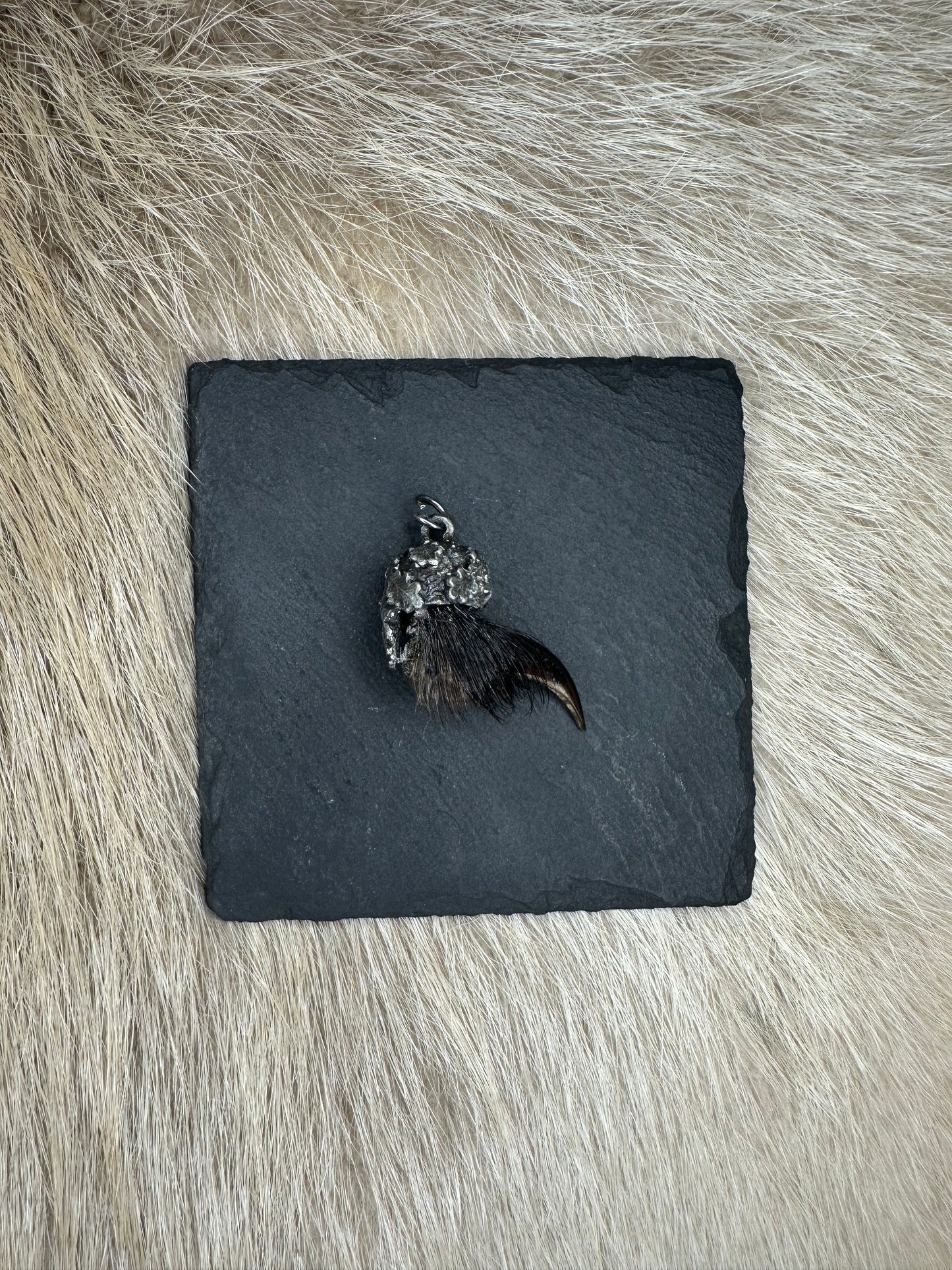 Anhänger Dachskralle Nr. 6