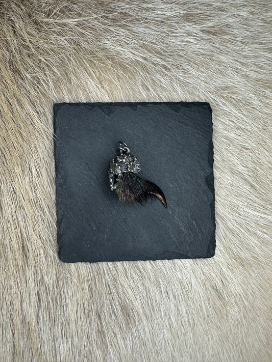 Anhänger Dachskralle Nr. 6