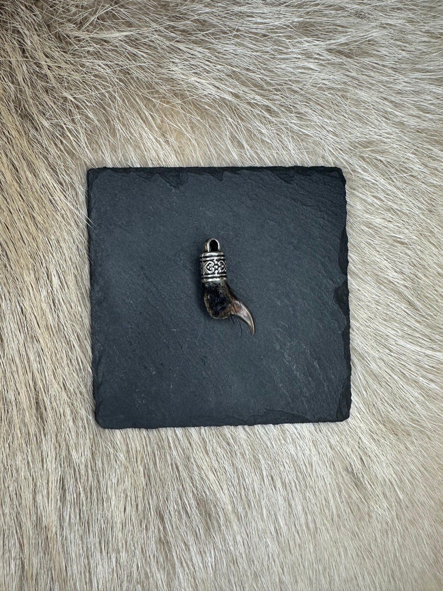 Anhänger Dachskralle Nr. 7