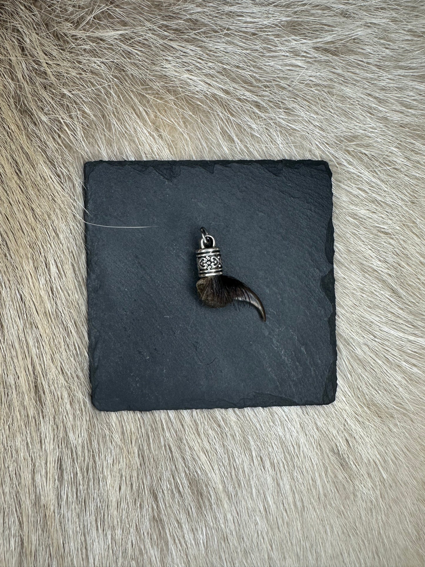 Anhänger Dachskralle Nr. 9