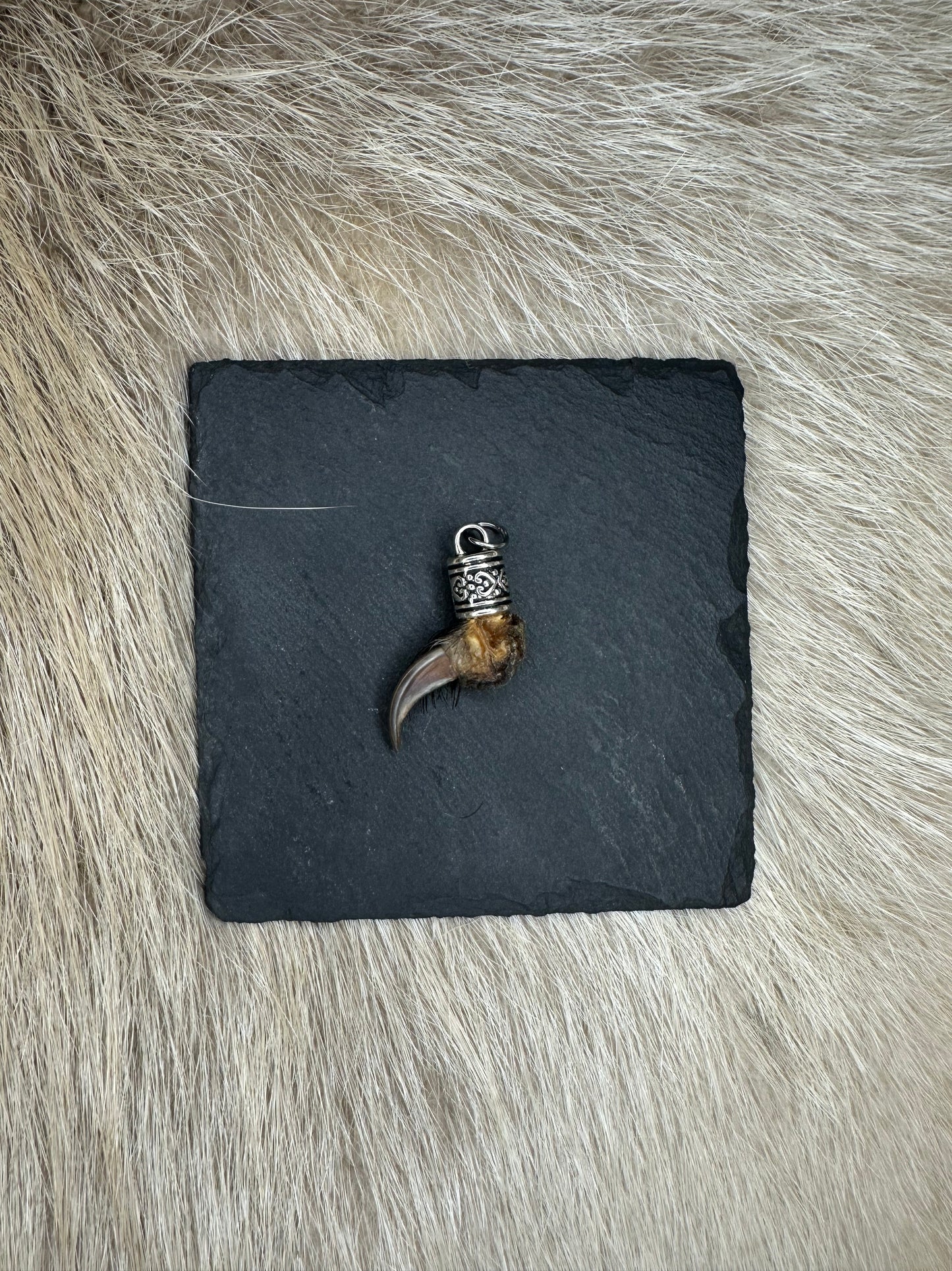 Anhänger Dachskralle Nr. 9