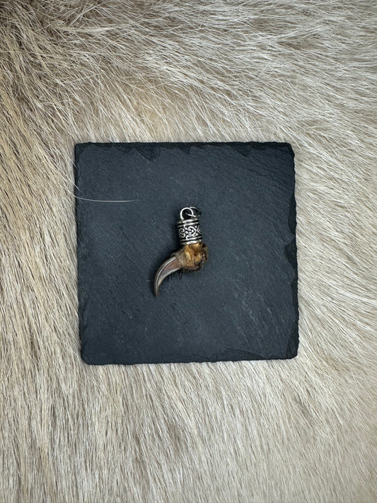 Anhänger Dachskralle Nr. 9