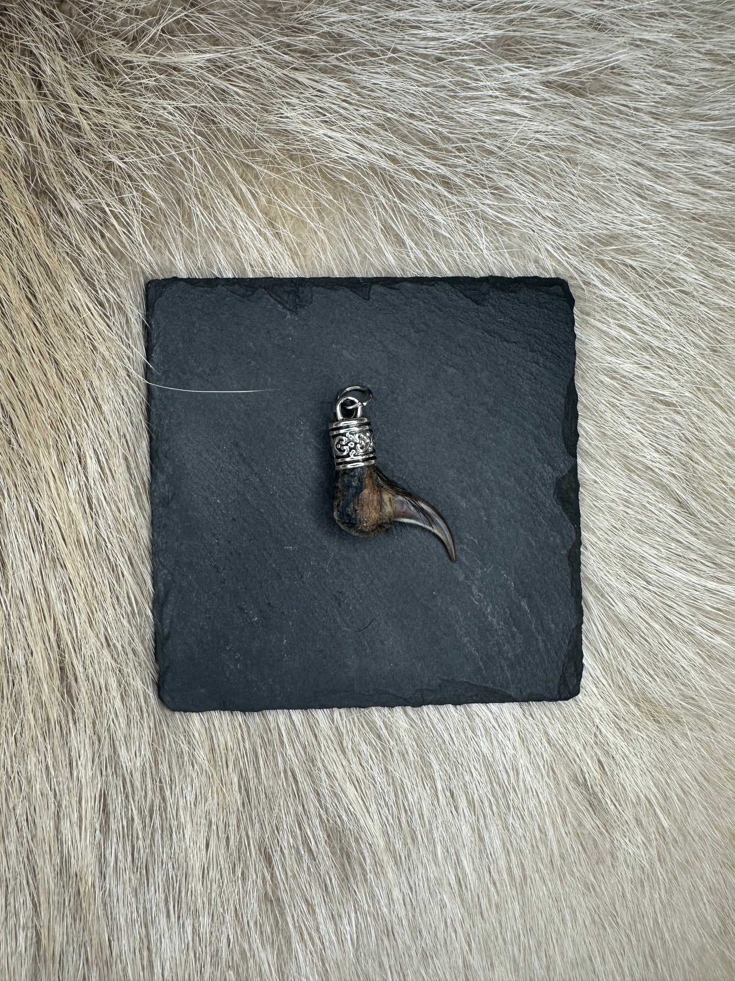 Anhänger Dachskralle Nr. 10