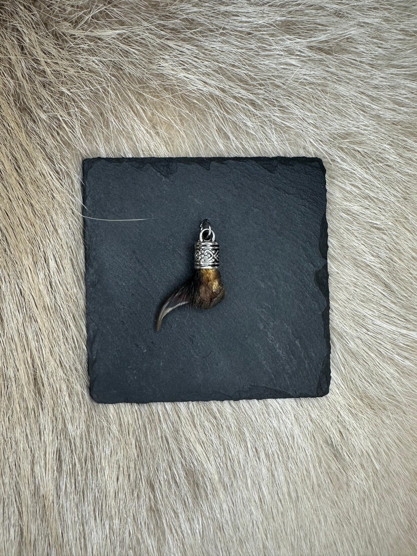 Anhänger Dachskralle Nr. 10