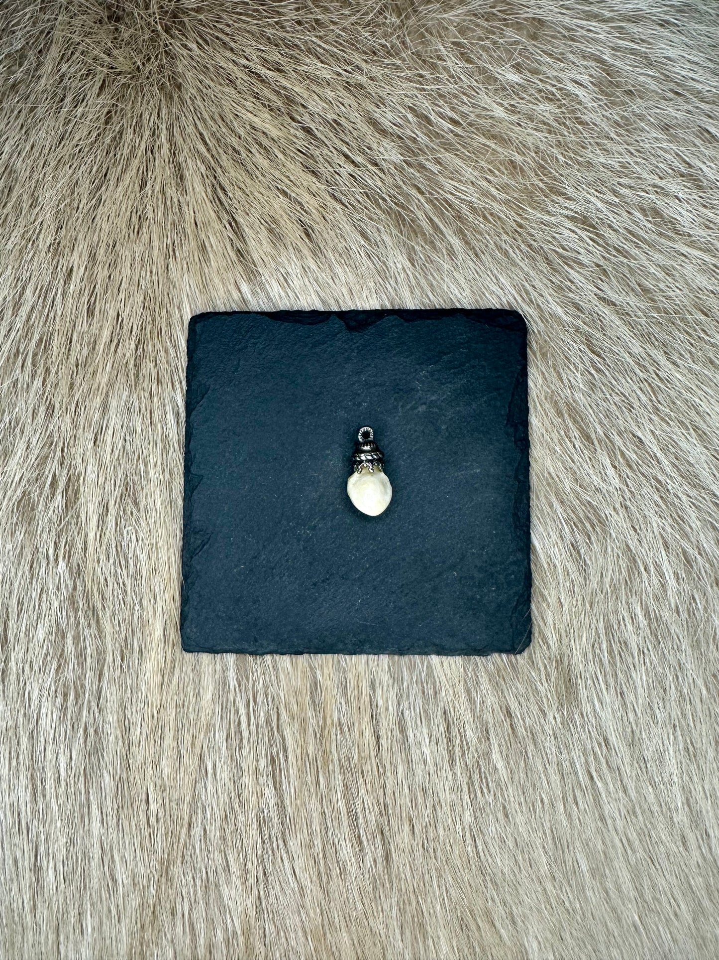 Anhänger Grandel Rotwild