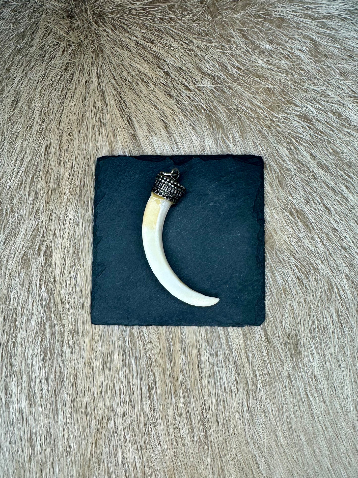 Anhänger Wildschwein Hauer Nr. 7