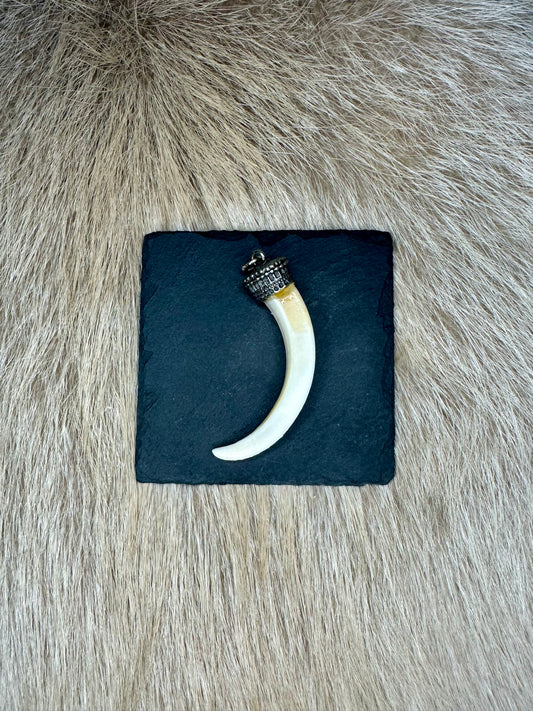 Anhänger Wildschwein Hauer Nr. 8