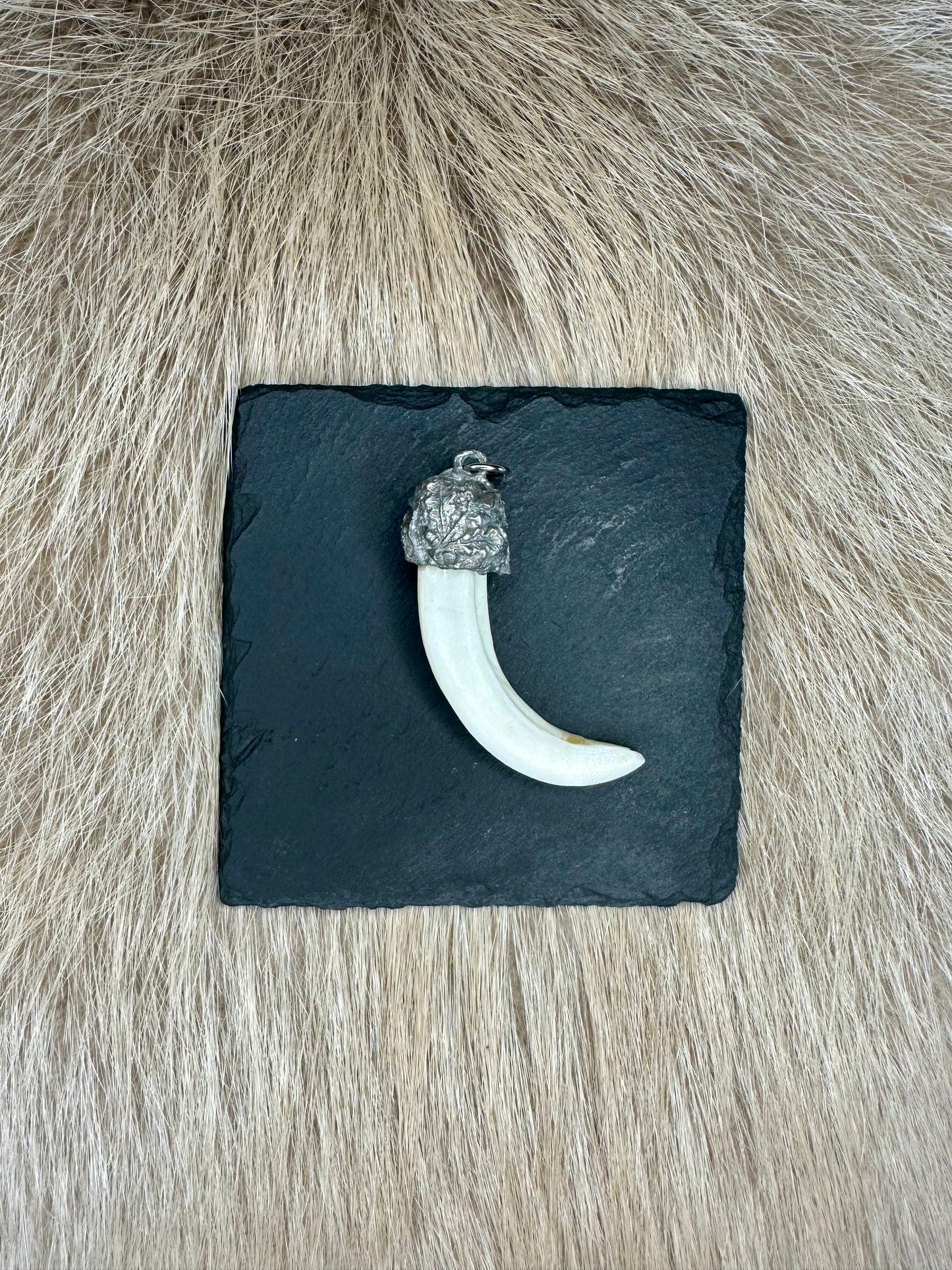 Anhänger Wildschwein Waffe Nr. 8