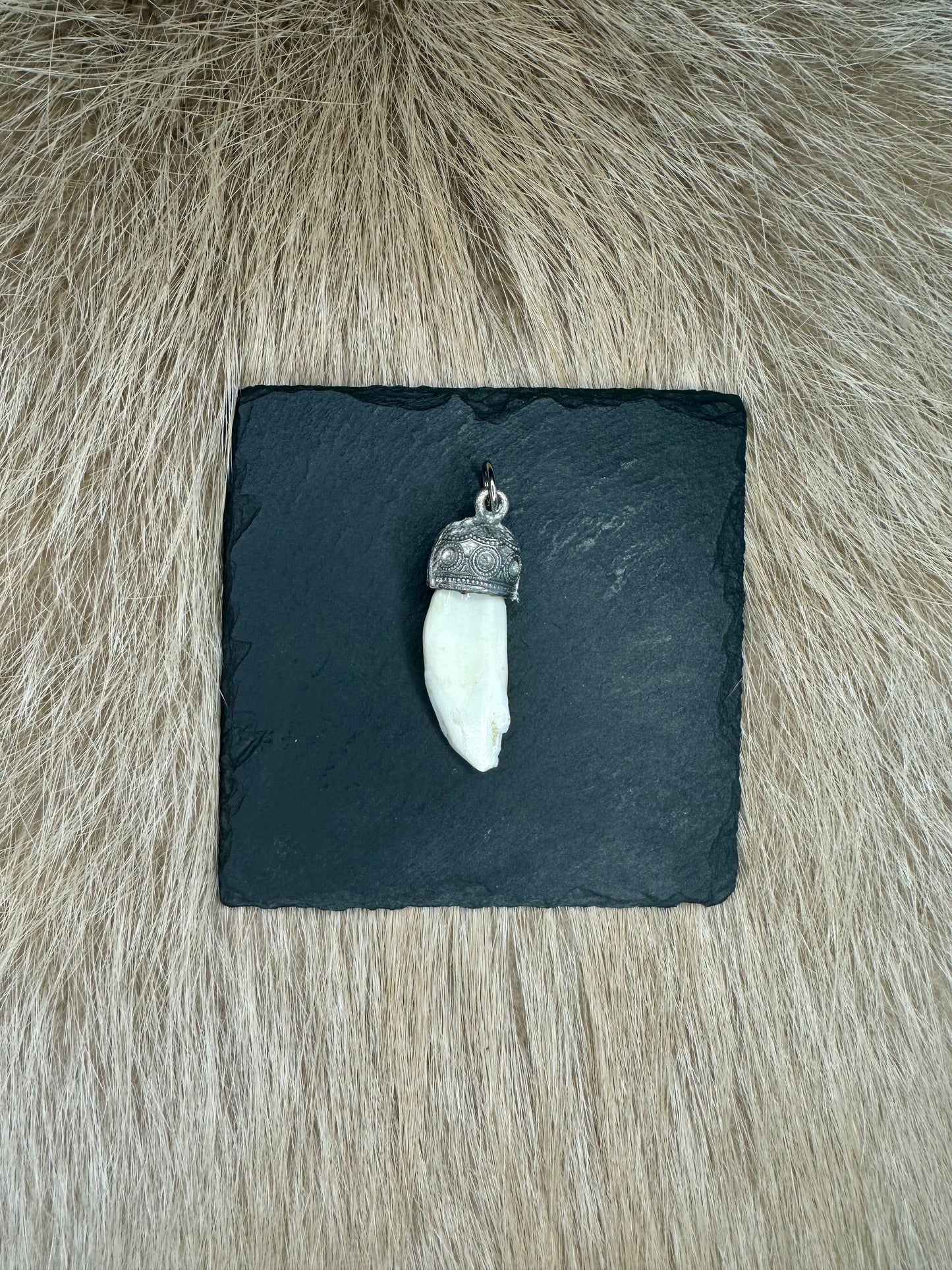 Anhänger Wildschwein Waffe Nr. 9