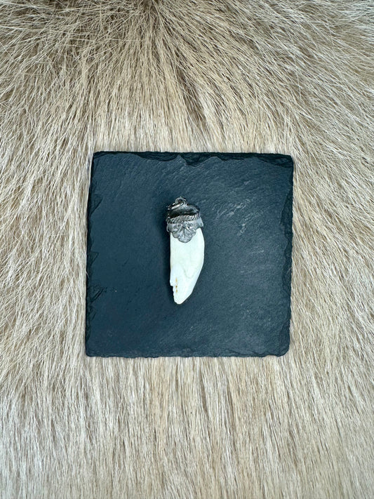 Anhänger Wildschwein Waffe Nr. 11