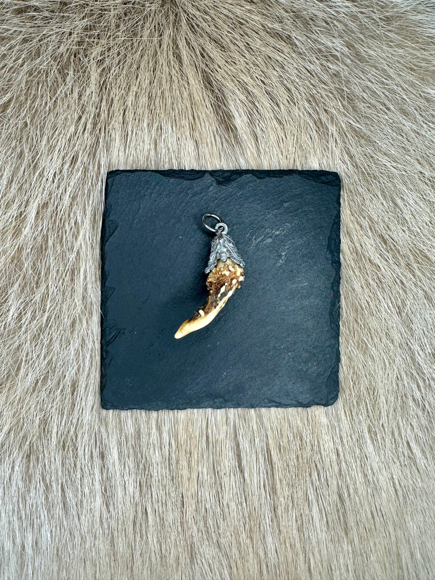 Anhänger Rehgeweih Nr. 5