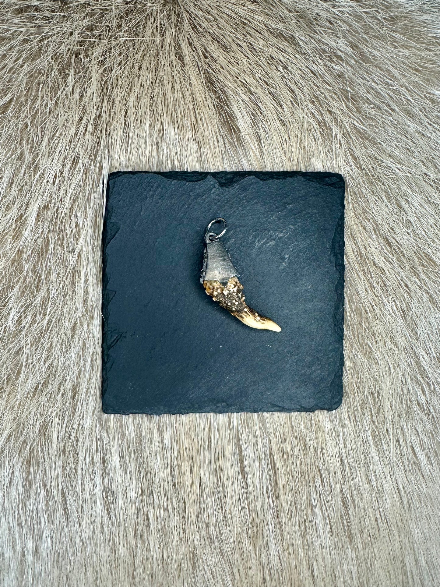Anhänger Rehgeweih Nr. 5
