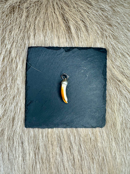 Anhänger Nutriazahn Nr. 6