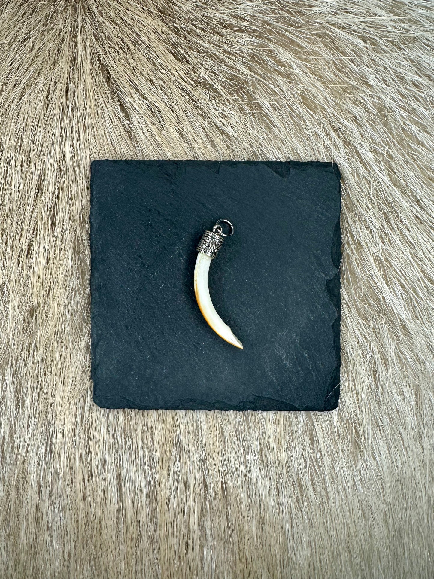 Anhänger Nutriazahn Nr. 1