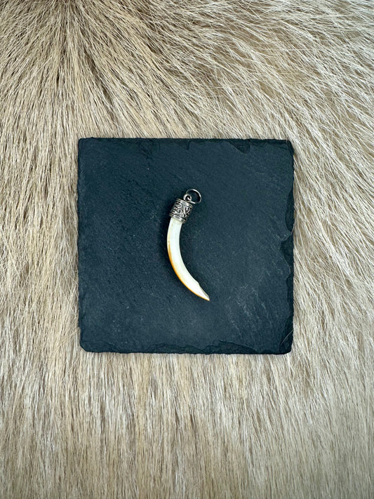 Anhänger Nutriazahn Nr. 1