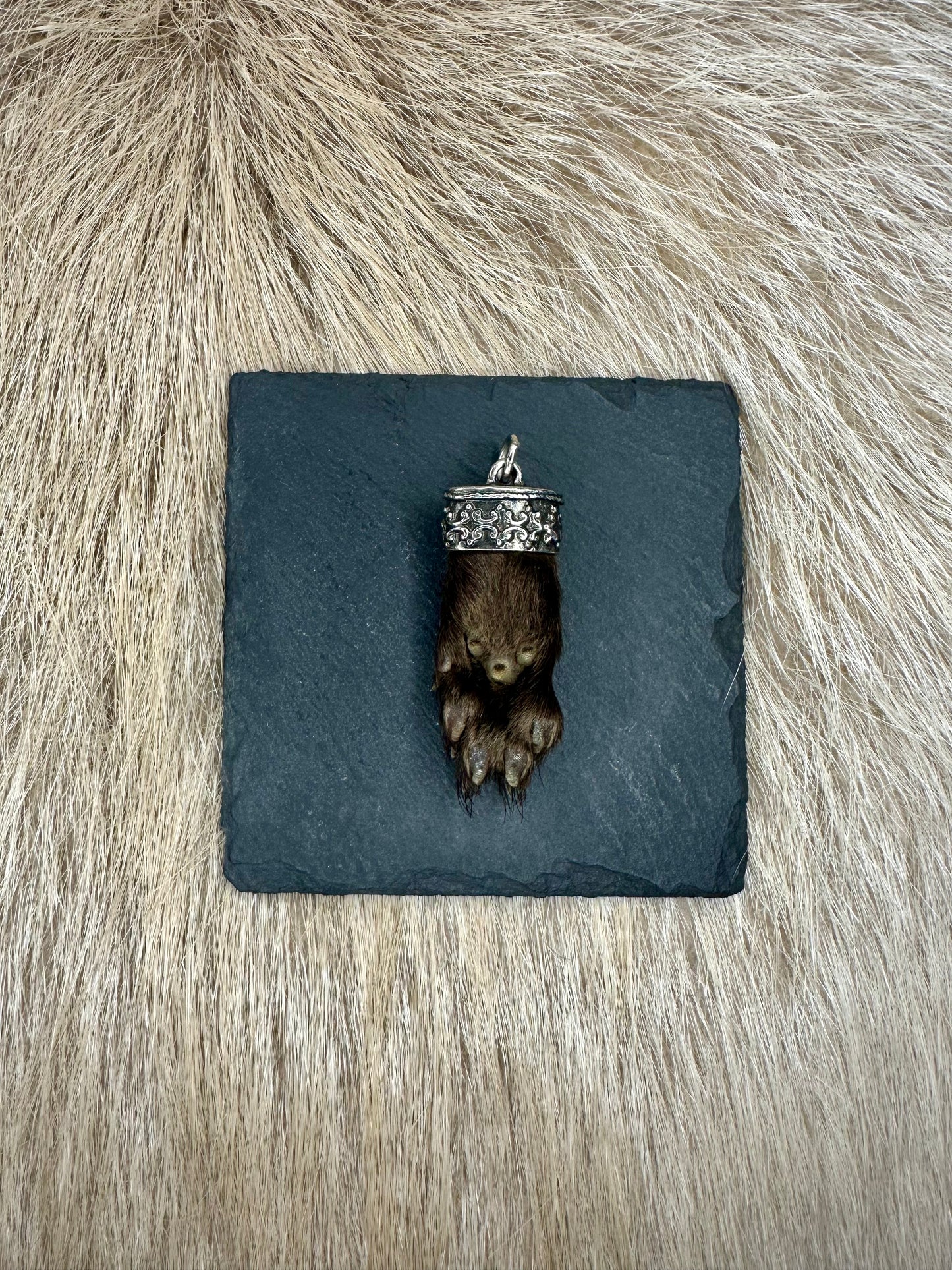 Anhänger Marderbrante Nr. 5