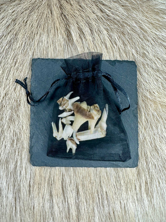 Zähne-Mix im Säckchen