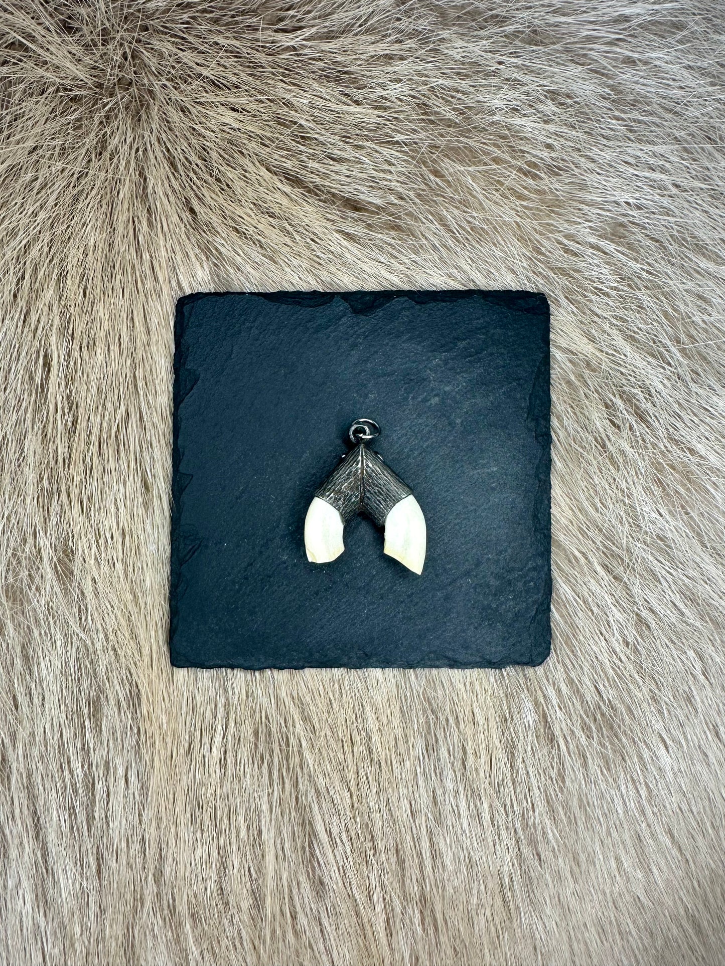 Anhänger Wildschwein Schneidezahn Nr. 2 doppelt