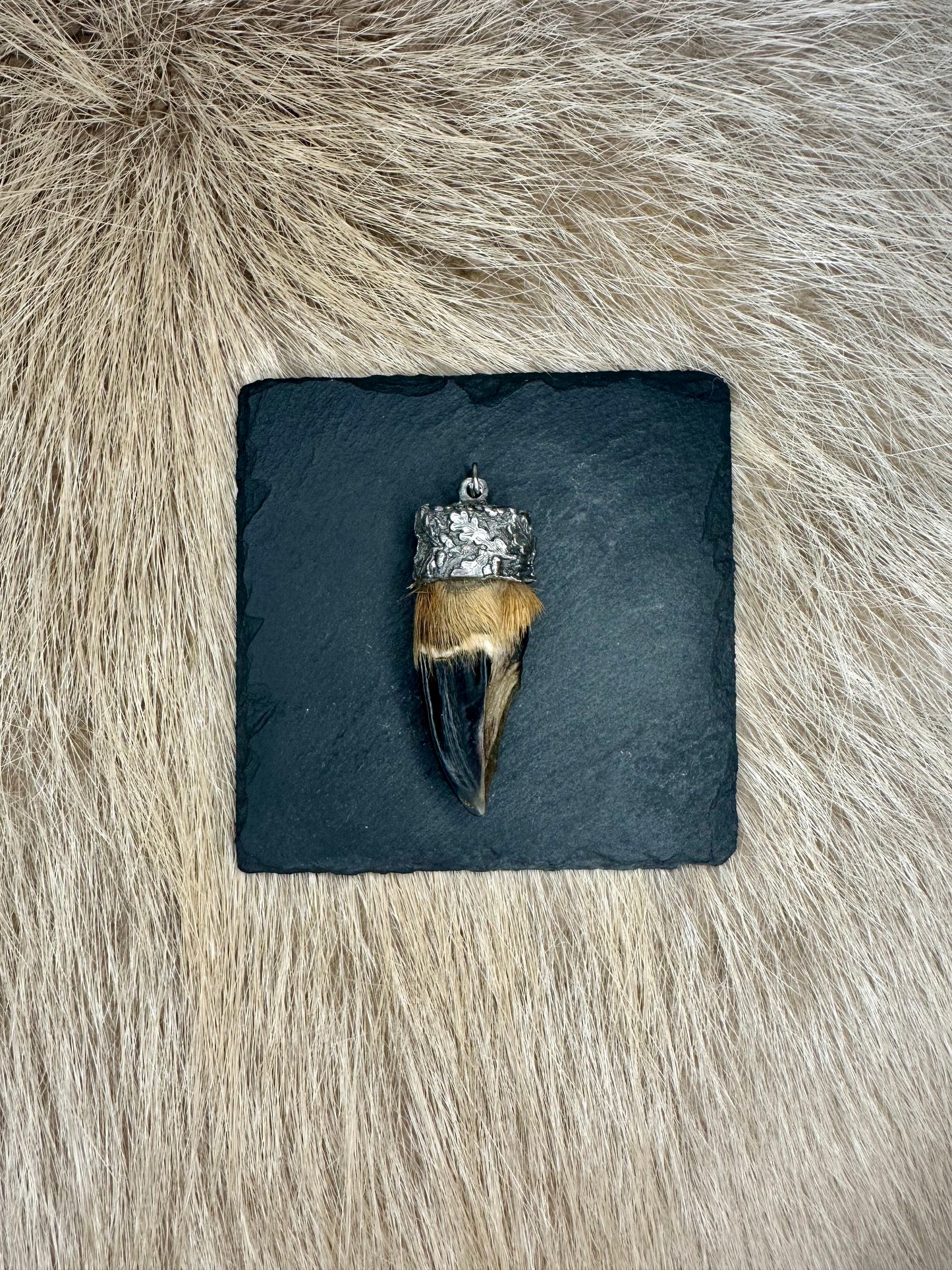 Anhänger Rehschale Nr. 1