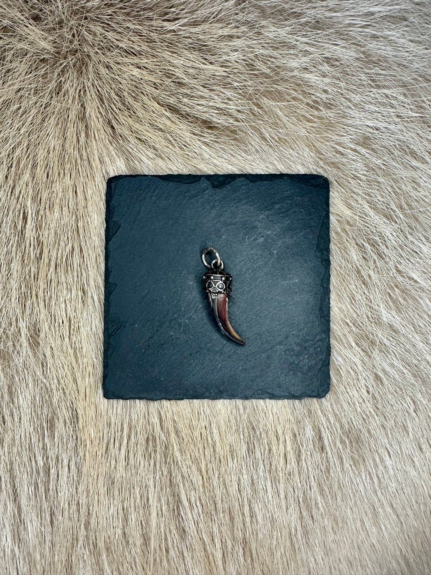 Anhänger Dachskralle Nr. 1