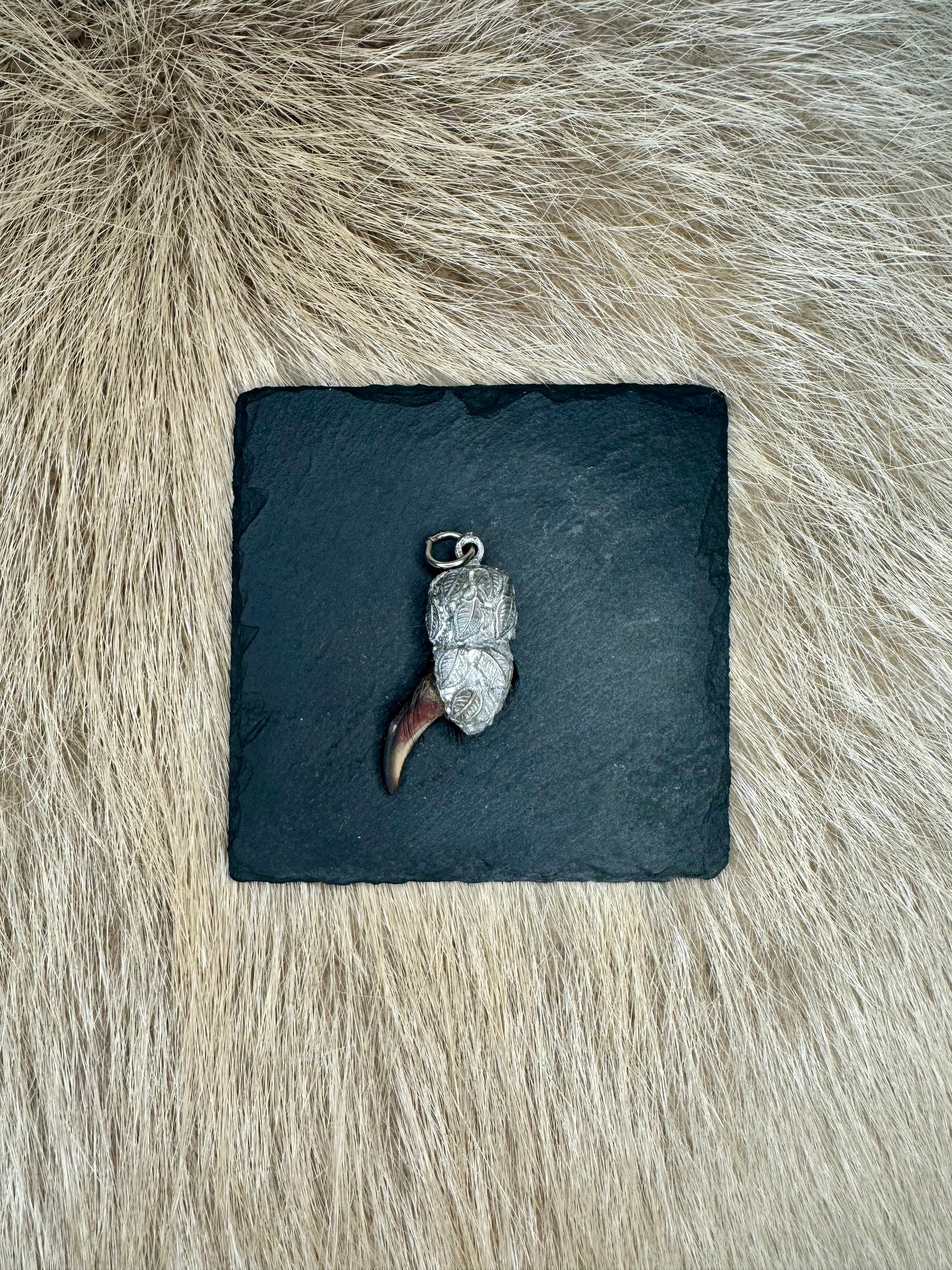 Anhänger Dachskralle Nr. 11