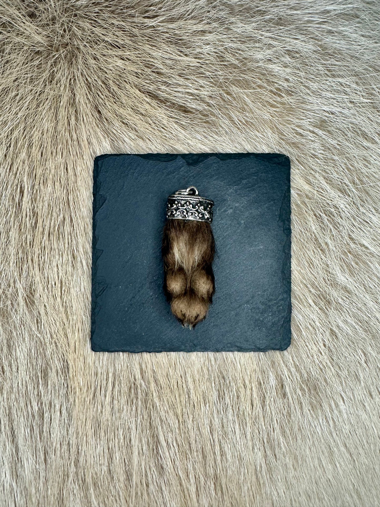 Anhänger Marderbrante Nr. 1