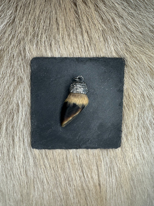 Anhänger Rehschale Nr. 1