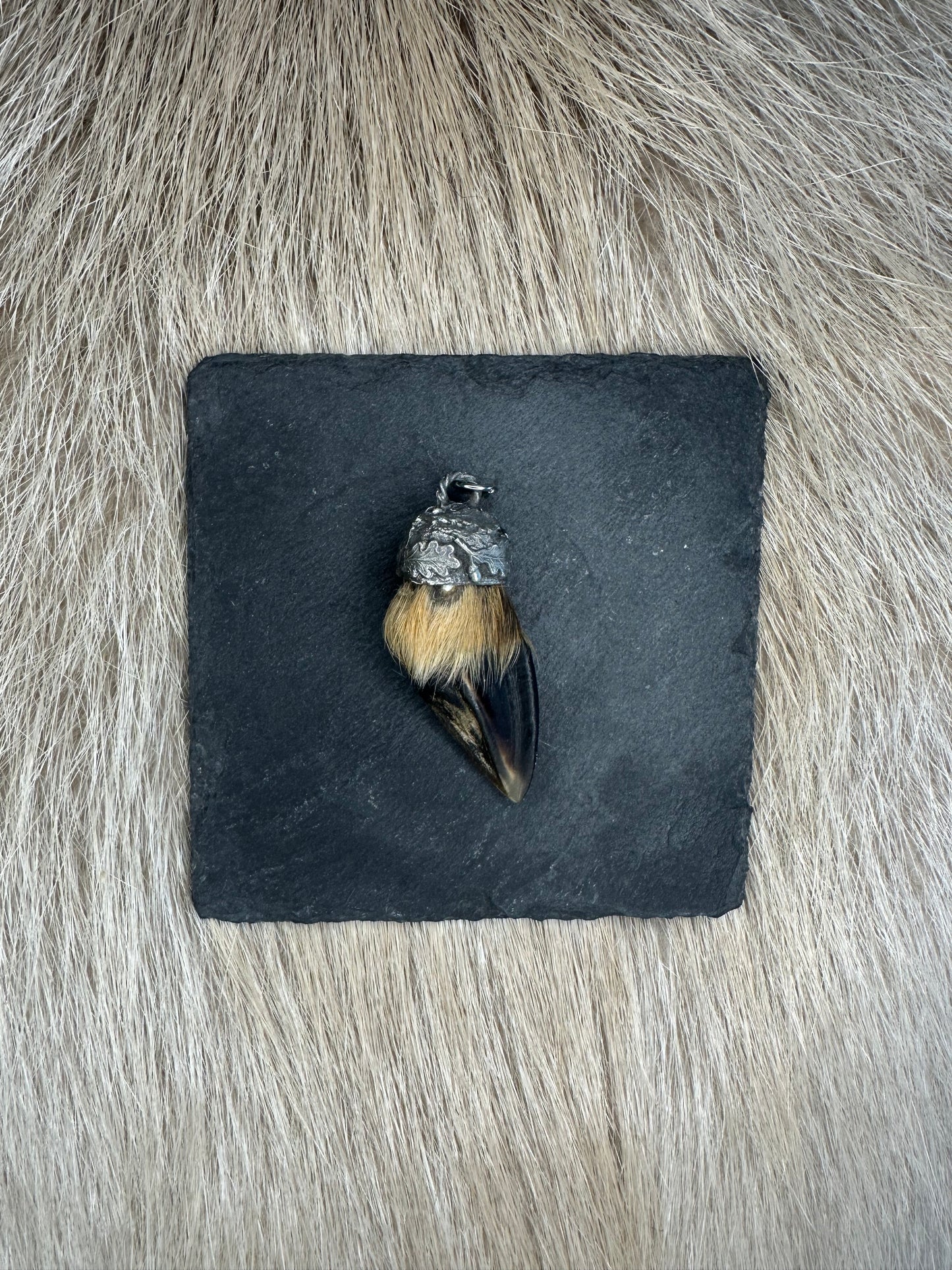 Anhänger Rehschale Nr. 1