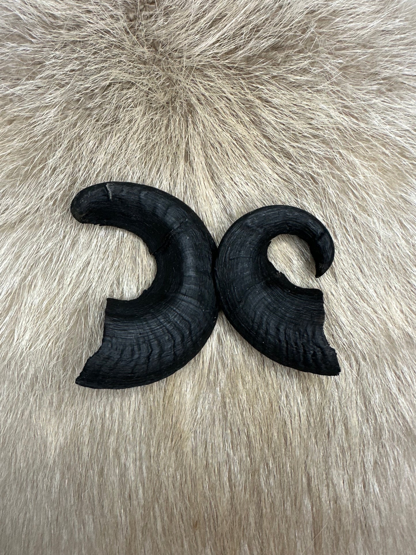 Muffel Horn Nr. 3 Passhörner