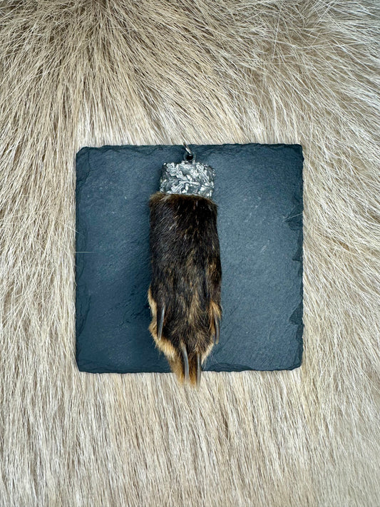 Anhänger Fuchs Brante Nr. 2