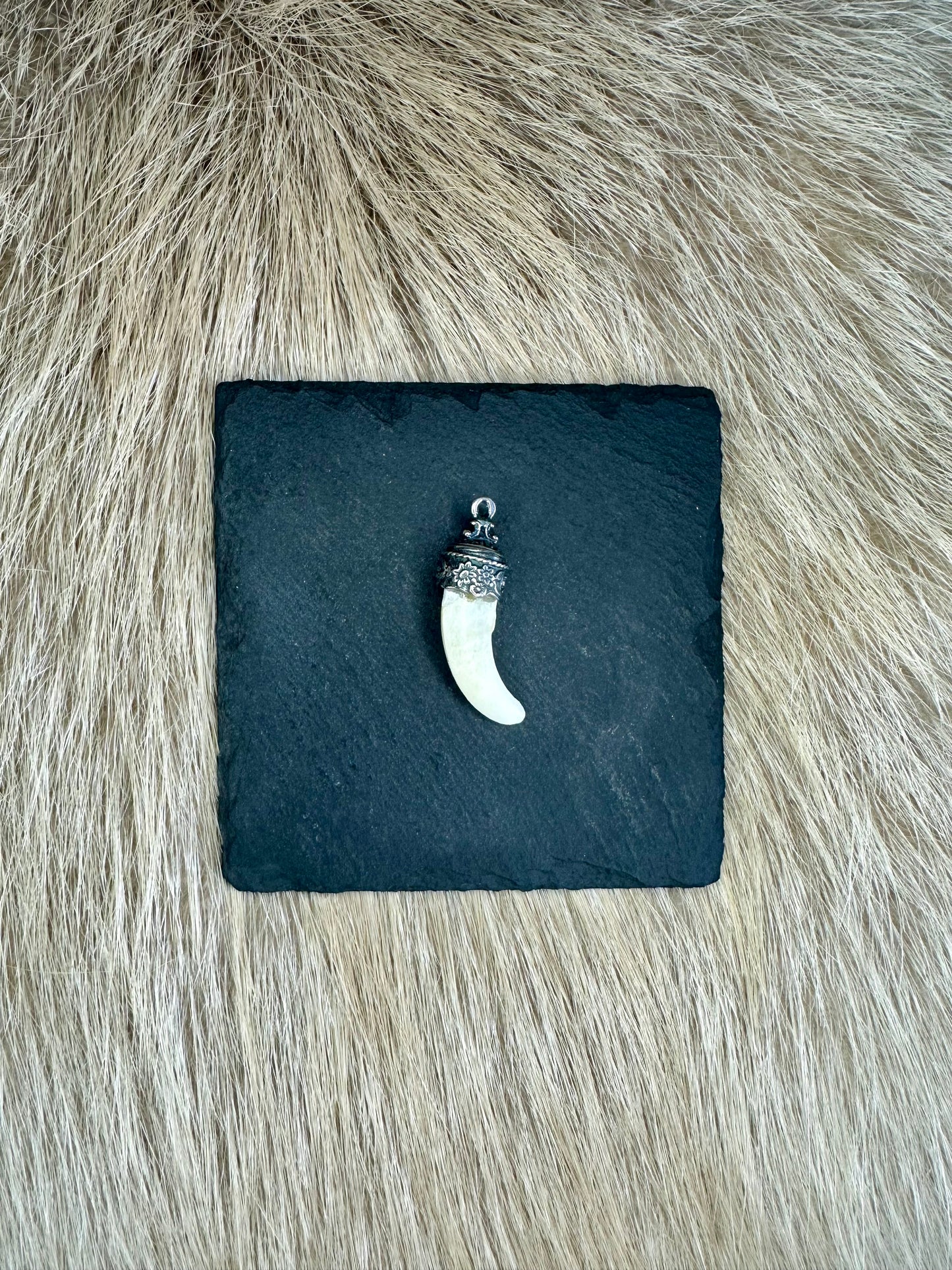 Anhänger Wildschwein Hauer echt Silber Nr. 7