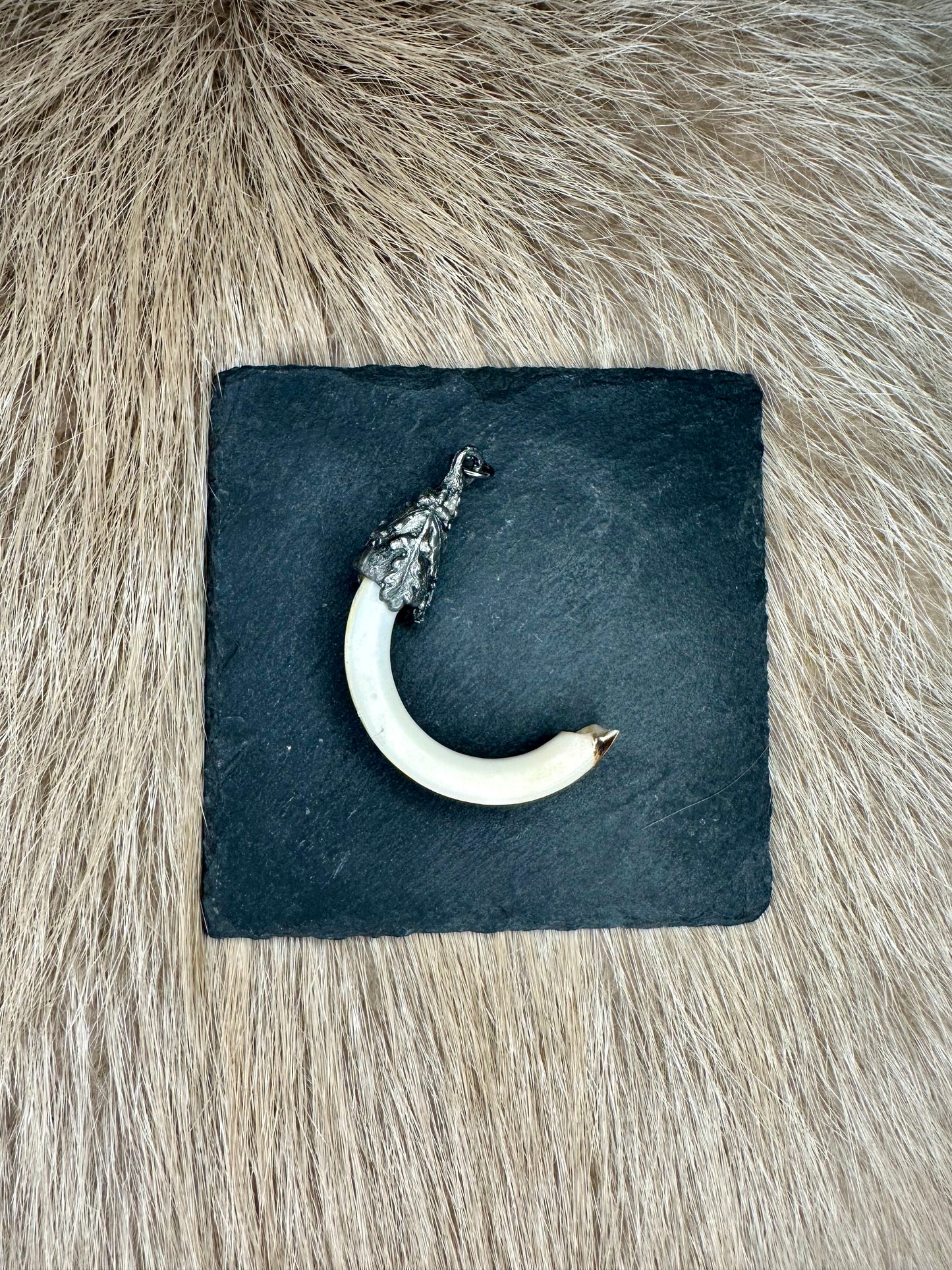 Anhänger Nutriazahn Nr. 2