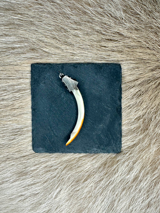 Anhänger Nutriazahn Nr. 3