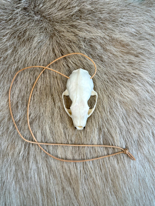 Steinmarder Schädel Halsband