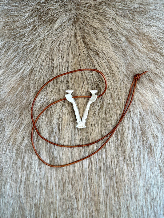 Steinmarder Unterkiefer Halsband