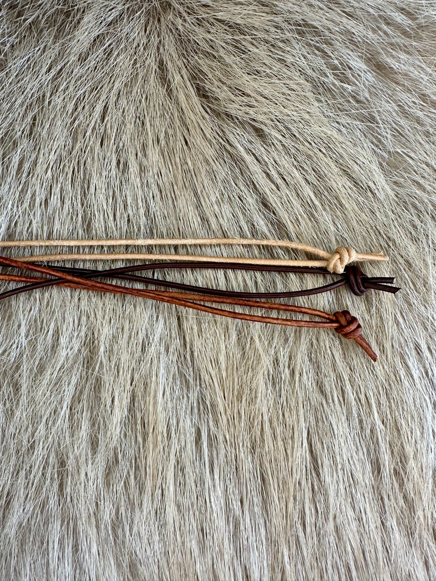 Steinmarder Unterkiefer Halsband