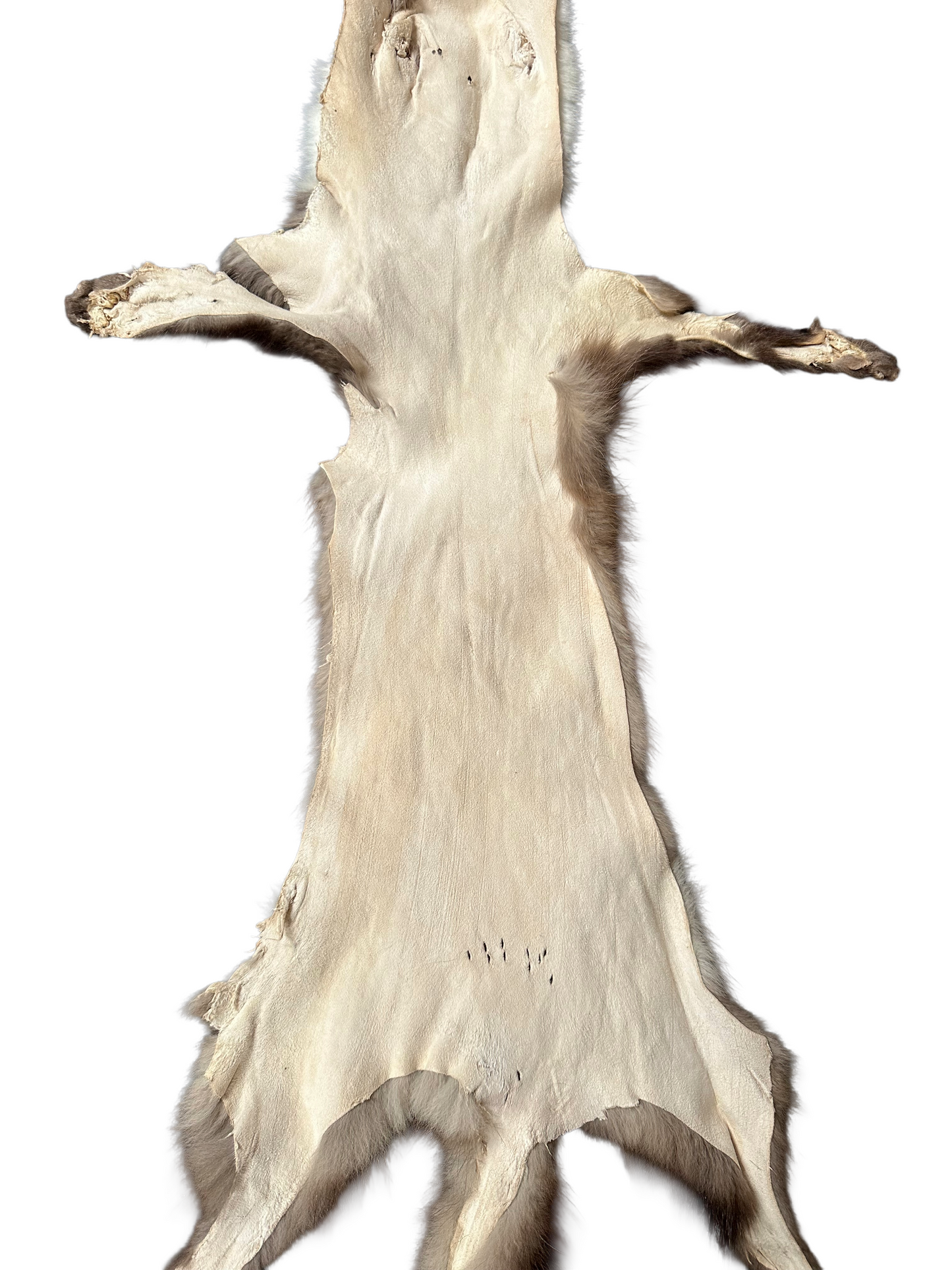 Steinmarder Fell Nr. 1