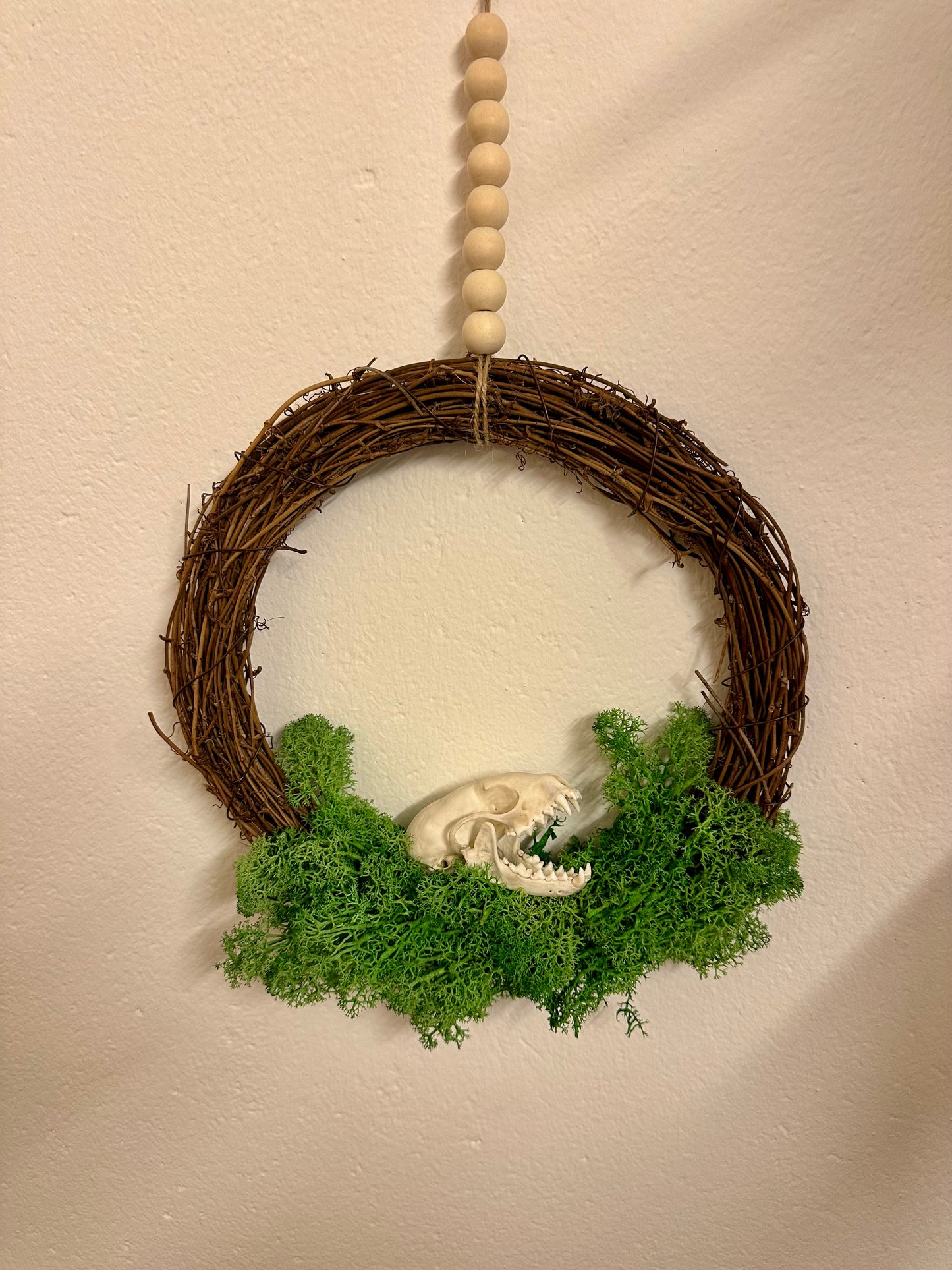 Weidenkranz mit Marderschädel kaufen