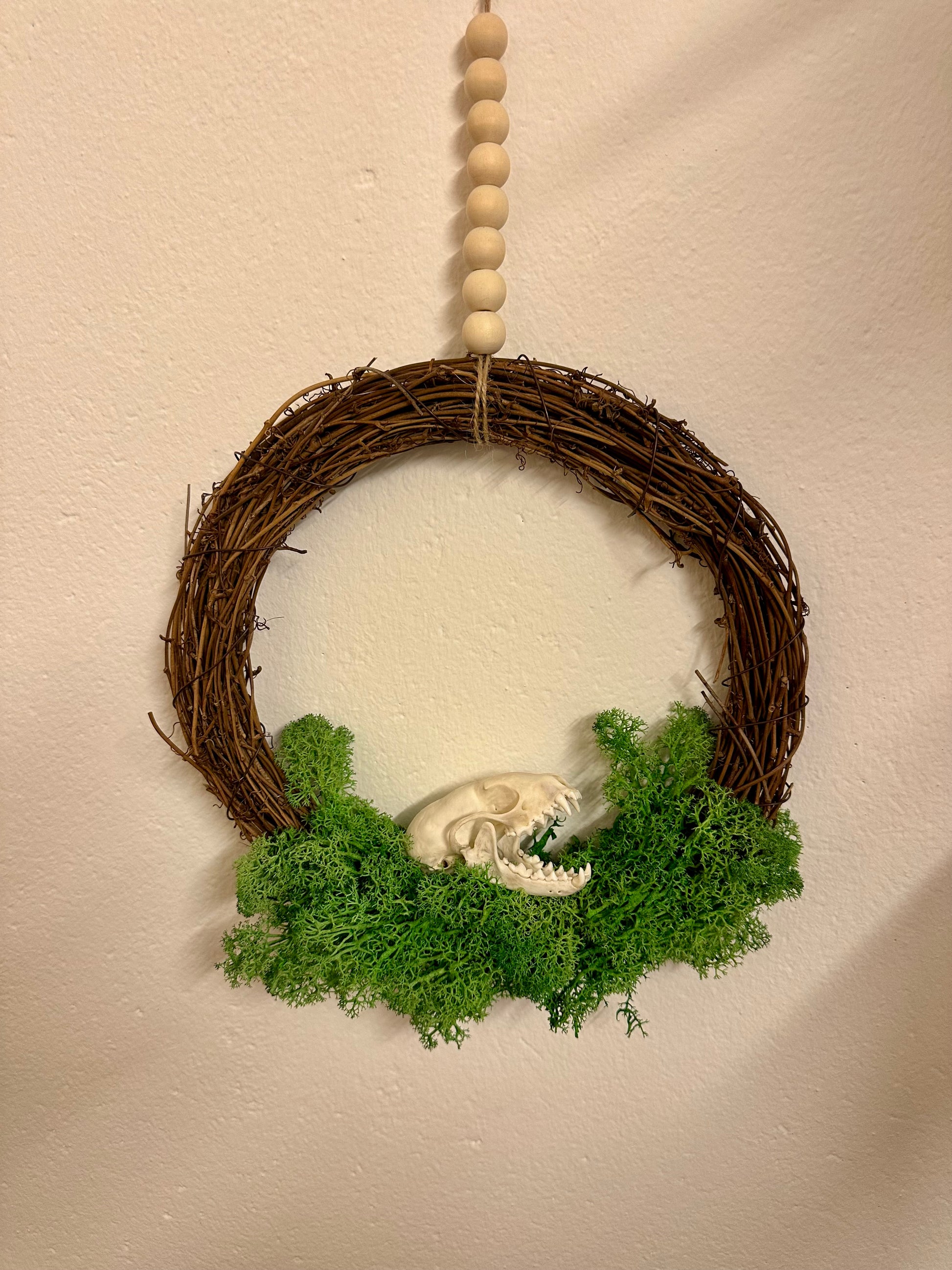 Weidenkranz mit Marderschädel kaufen