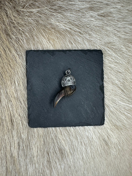 Anhänger Dachskralle Nr. 5