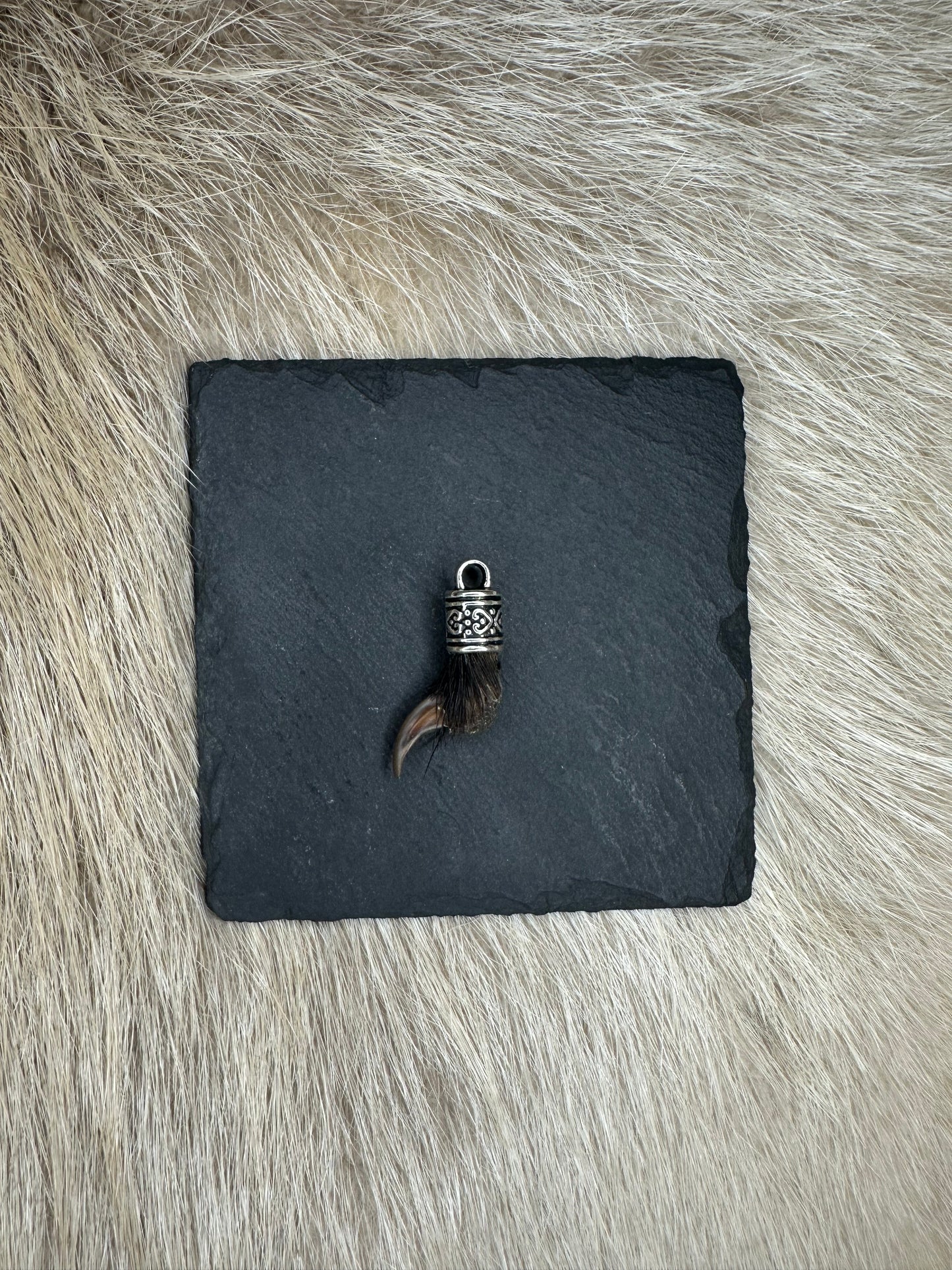 Anhänger Dachskralle Nr. 7