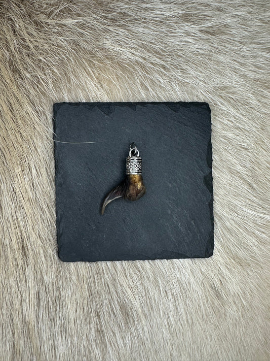 Anhänger Dachskralle Nr. 10