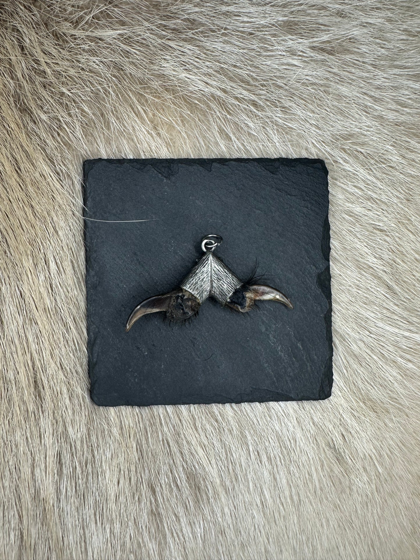 Anhänger Dachskralle doppelt Nr. 11